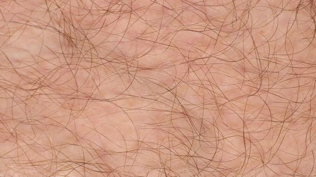 Human skin macro tracking. Male skin on leg texture close up. Slider shot. 4K