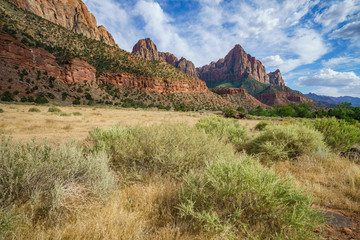 the watchman from parus trail in zion national park, usa