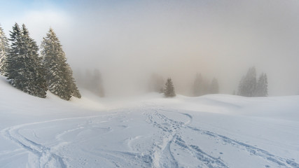Snowshoe tour on the Hochgrat in the Allgau