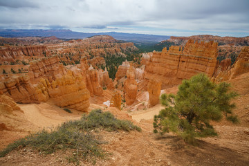 hiking the rim trail in bryce canyon national park in utah in the usa