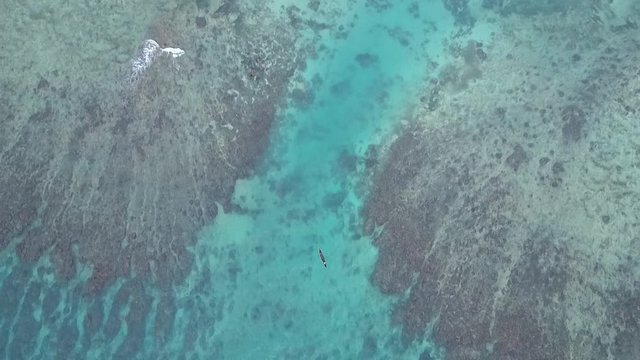 african fishing: aerial drone top down of piroque/ little fisherboat fishing by coral reef