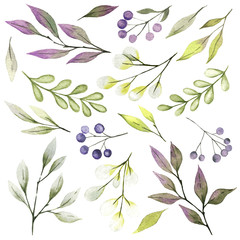 Watercolor leaves and branches, berries, tiny delicate flora