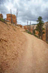 hiking the peek-a-boo loop in bryce canyon in utah in the usa