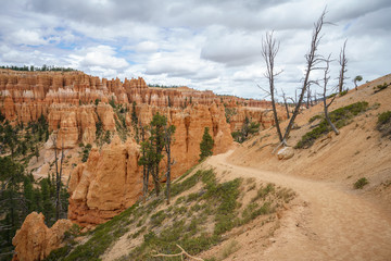 hiking the peek-a-boo loop in bryce canyon in utah in the usa