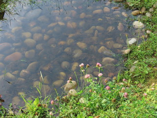 Transparent drainage pond