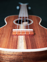 Ukulele