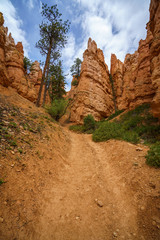 Obraz premium hiking the peek-a-boo loop in bryce canyon in utah in the usa