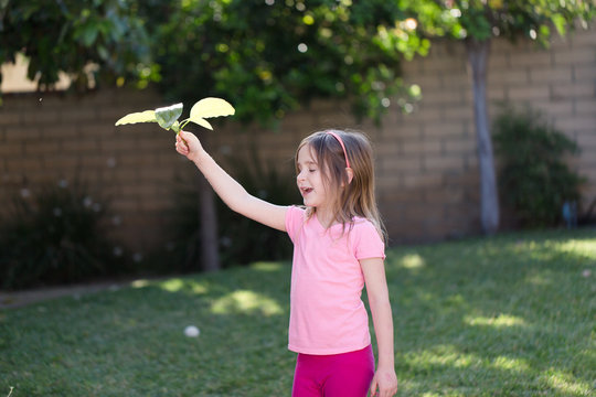 Kids Are Being Creative And Adventurous In Their Backyard Instead Of Having Screen Time.