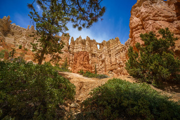 Fototapeta na wymiar hiking the peek-a-boo loop in bryce canyon in utah in the usa
