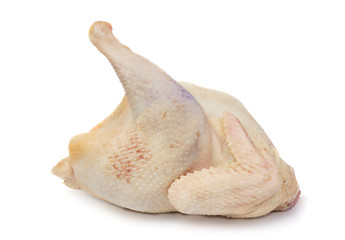 Raw chicken without feathers, carcass on a white © Ilia Shcherbakov
