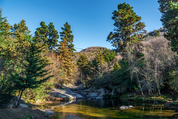 Fototapeta na wymiar Panoramic view of a little lake down a valley, with a mountain full of trees on the back