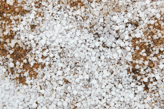 Snow pellets, graupel or soft hail on the ground. Form of precipitation