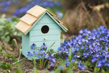 Turquoise birdhouse on the background of purple Veronica. Spring, close-up