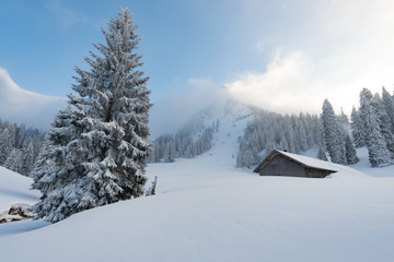 Snowshoe tour on the Hochgrat in the Allgau