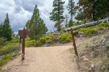hiking the peek-a-boo loop in bryce canyon in utah in the usa