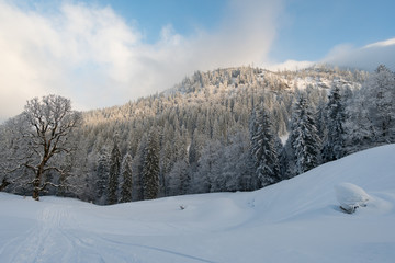 Fototapeta na wymiar Snowshoe tour on the Hochgrat in the Allgau
