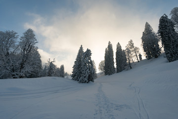 Snowshoe tour on the Hochgrat in the Allgau