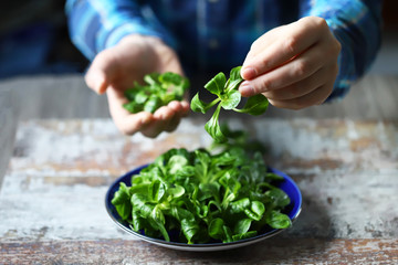 Selective focus. Fresh green salad in male hands. The chef cook holds a green salad over a plate. Salad mash. Diet concept. Spring food.