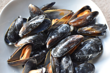 Cooked mussels in white wine sauce