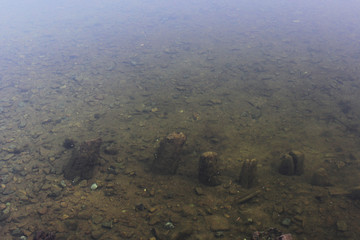 old wooden poles under water. historical backups. lake in Gatchina park.