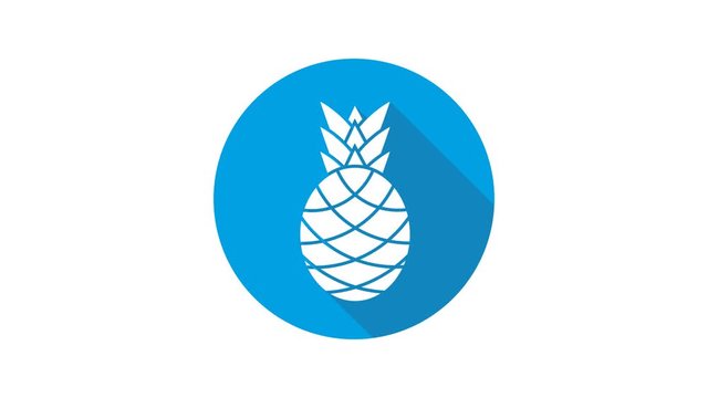 Blue motion graphic icon animation pineapple