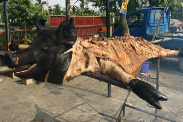 Close up shot of a roast suckling pig