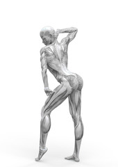 muscle woman doing a gymnastic pose in white background