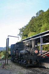 Fototapeta na wymiar Old steam train display in Alishan