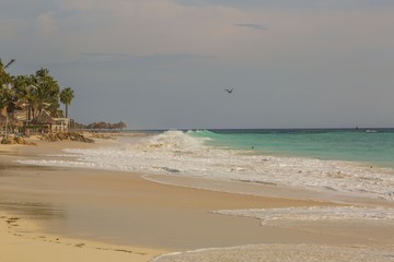 Big wave in Caribbean sea is breaking the coast. Eagle Beach of Aruba Island.  Beautiful nature background.