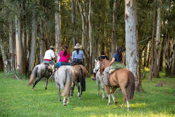 Family riding a horse among the trees of a small forest