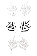Set of hand drawn branches with leaves - black, white and grey silhouettes isolated on white background. Collection of design elements, vector stock illustration.