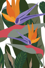 Bird of paradise flowers with tropical green leafs isolated on white background. Cool african crane flower or strelitzia reginae blossom floral fabric. Stock vector illustration.