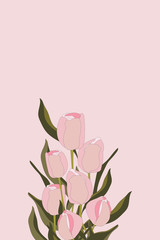 Spring flowers - pink tulips with green leaves isolated on light pink background. Valentines or Mother day background. Vector illustration.