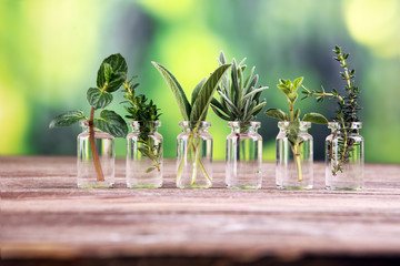 Homegrown and aromatic herbs in glass with sage and oregano