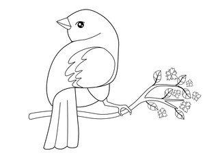 A small bird sits on a flowering spring branch. Vector linear picture for coloring. Outline. Spring has come - a bird has arrived and is sitting on a flowering tree.