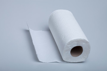 roll of toilet paper