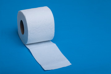 roll of toilet paper