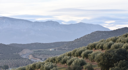 Fototapeta premium Lenticular clouds in the Andalusian countryside at sunrise