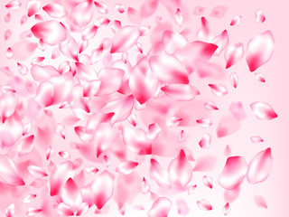 Japanese cherry blossom pink flying petals