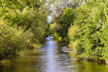 Blick auf die Aach bei Rielasingen im Sommer