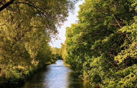 Aach bei Rielasingen im Sommer