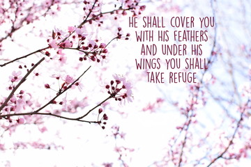 bible verse cherry blossom