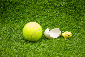 Tennis Easter with tennis ball with egg shell on green grass