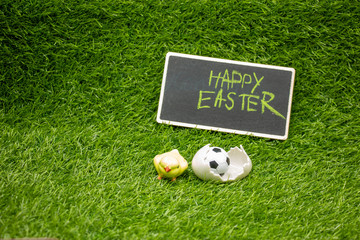 Soccer Easter with football and egg shell on green grass