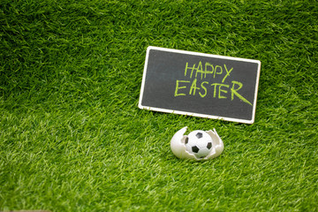 Soccer Easter with football and egg shell on green grass
