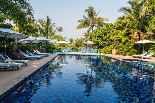beautiful swimming pool in tropical resort coconut palm tree