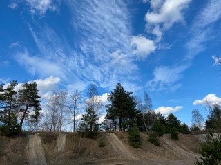 landscape with trees and blue sky