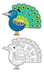 Cartoon sketchbook asian animal bird peacock on white background illustration