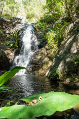 Fototapeta premium la sidra