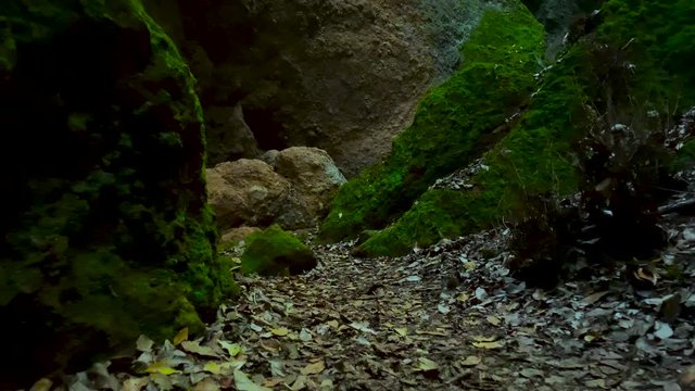 4k Aventura al aire libre Caminos ins&oacute;litos 3 Bosques Gran Canaria	